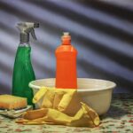 DIY Natural Cleaning Products: 10 Simple Recipes